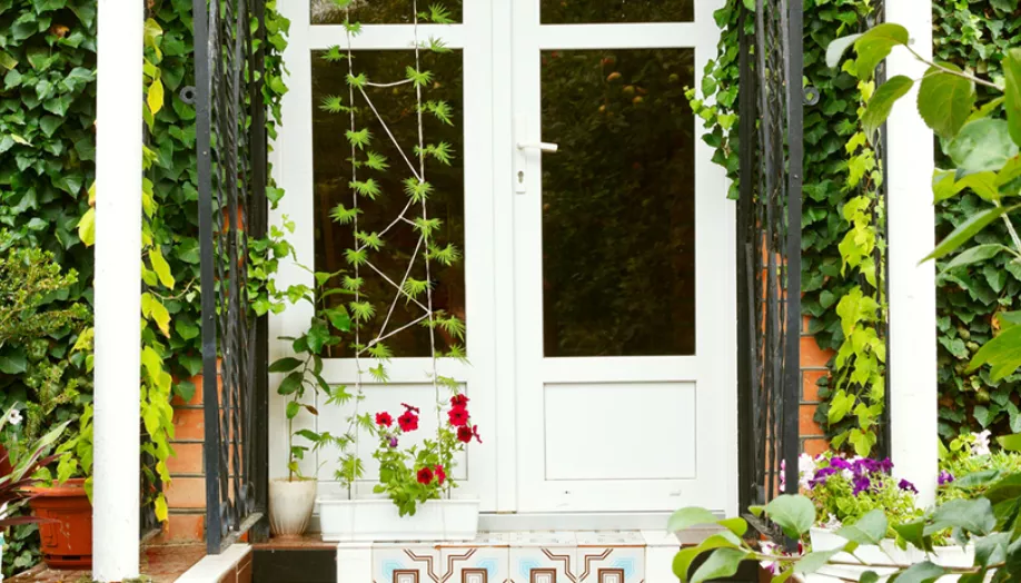 Blog 1536314599